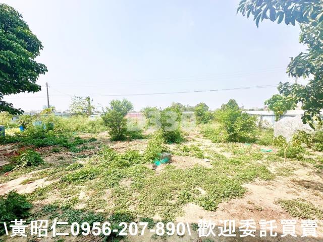 台南農地-3