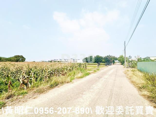 台南農地-6