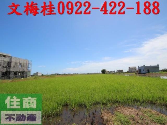 宜蘭礁溪農地-2