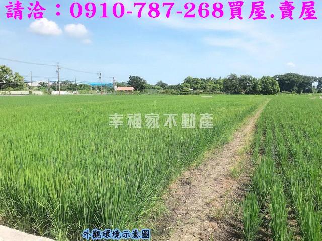 台南官田農地-6