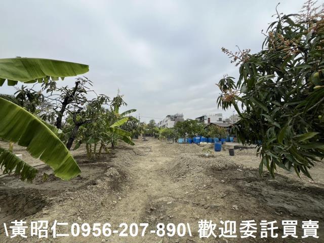 歸仁農地-1