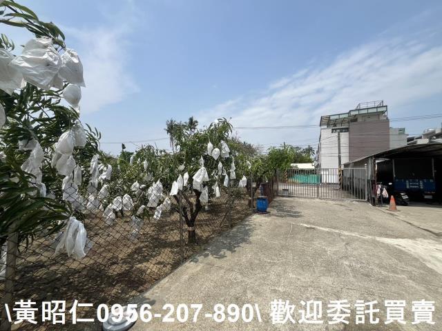 歸仁農地-3