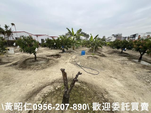 歸仁農地-4