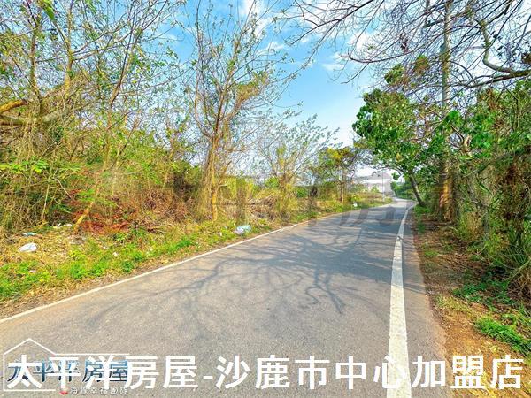 龍井保護地-11