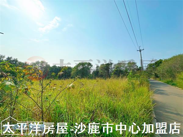 龍井保護地-12