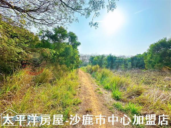 龍井保護地-5