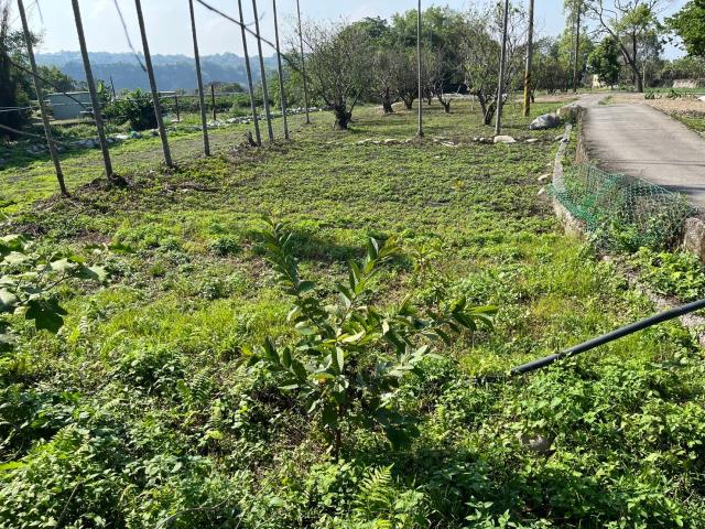 東勢農地-2