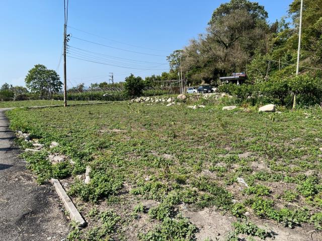 東勢農地-6