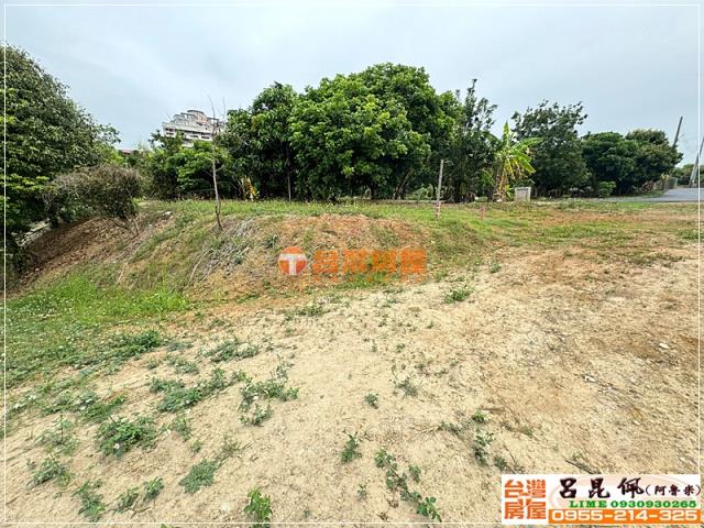 東區農地-4