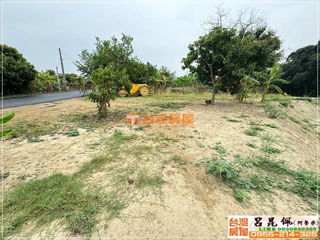 東區農地-7