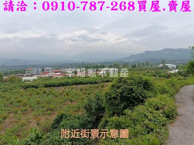 台南農地-15
