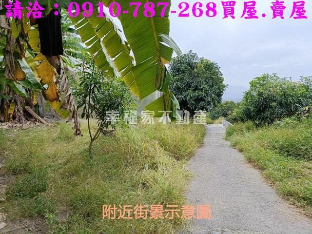 台南農地-2