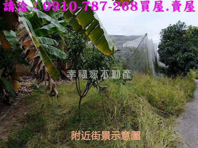 台南農地-6