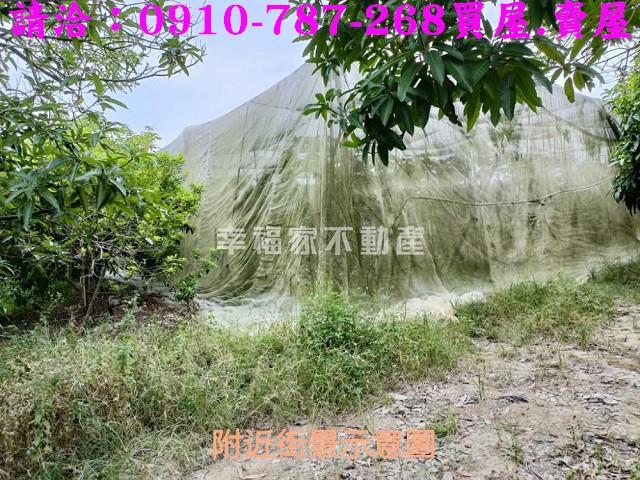 台南農地-7