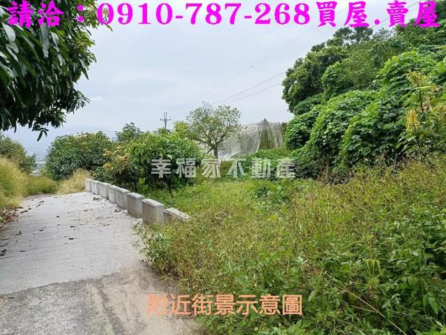 台南農地-9