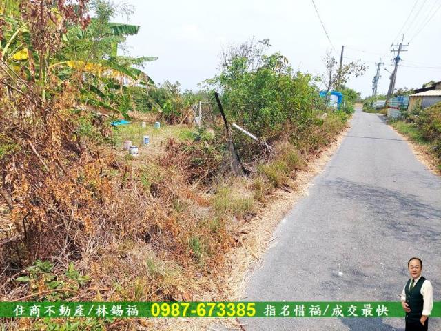 台南農地-2