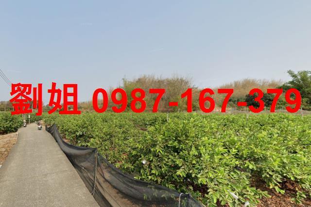 高雄燕巢農地-1