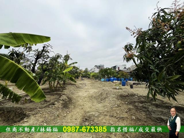 台南歸仁農地-3