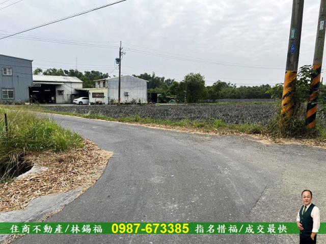歸仁農地-5