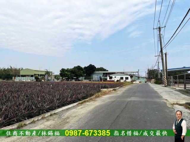 歸仁農地-6