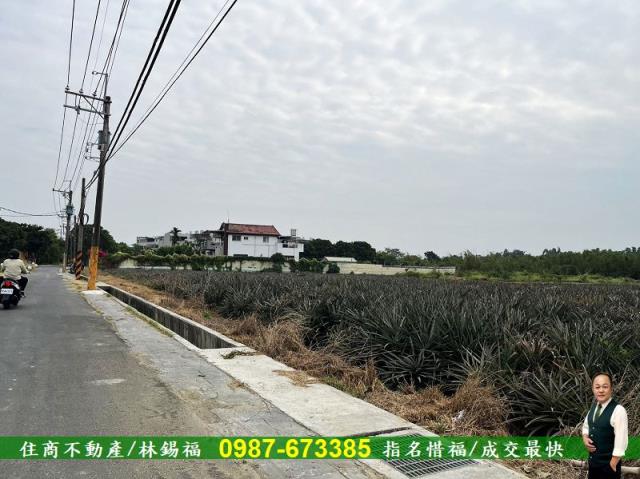 歸仁農地-9