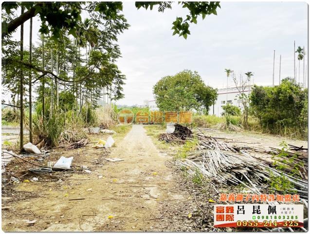 中埔農地-2