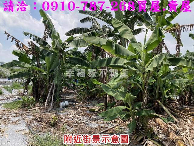 台南農地-11