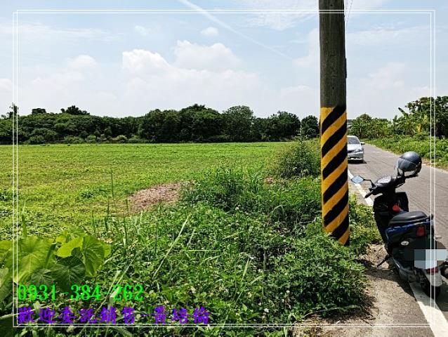 591黃培倫