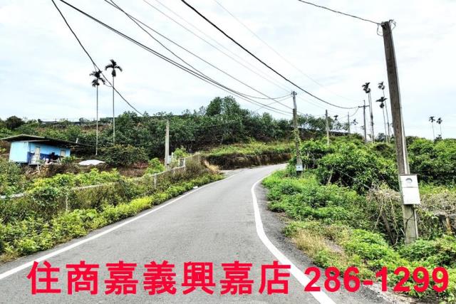 竹崎農地-2