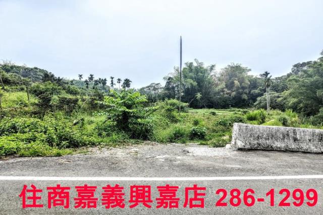 竹崎農地-3