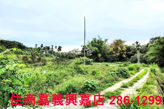 竹崎農地-4