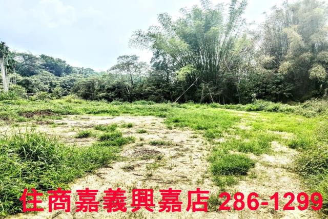 竹崎農地-5