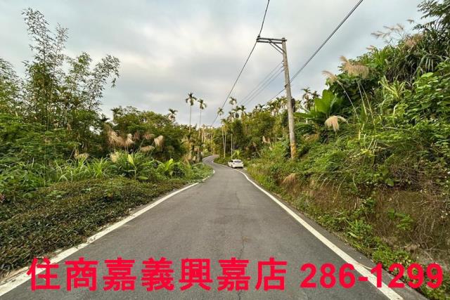 中埔農地-2