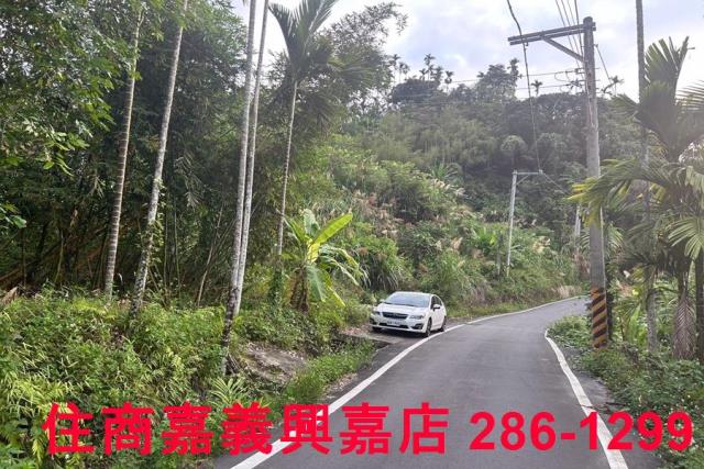 中埔農地-3