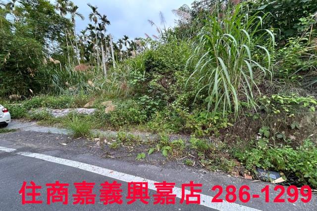 中埔農地-4