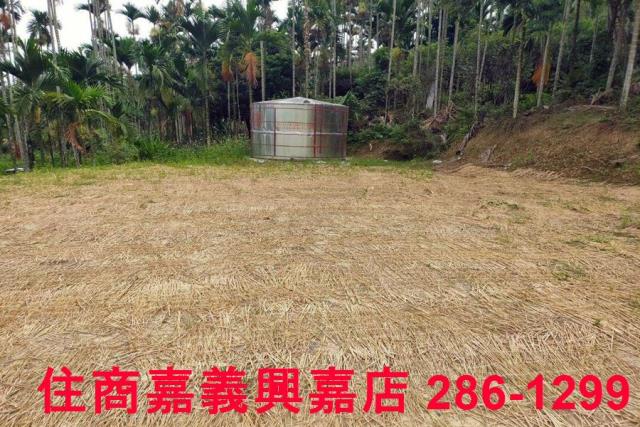 中埔農地-5