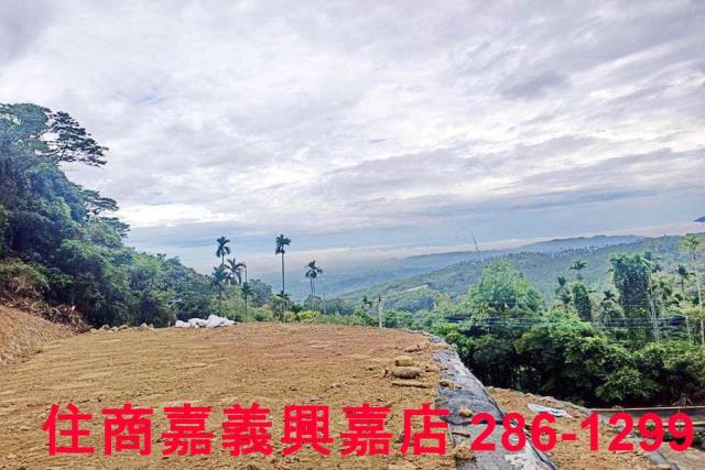 中埔農地-7