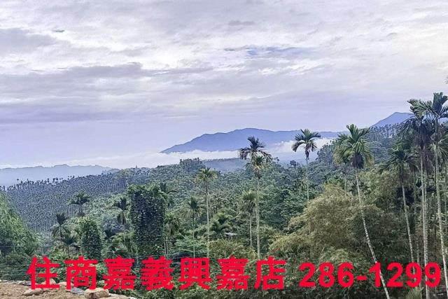 中埔農地-8