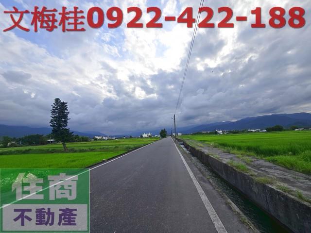 宜蘭三星農地-2