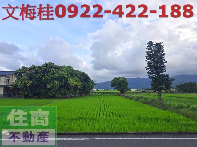 宜蘭三星農地-6