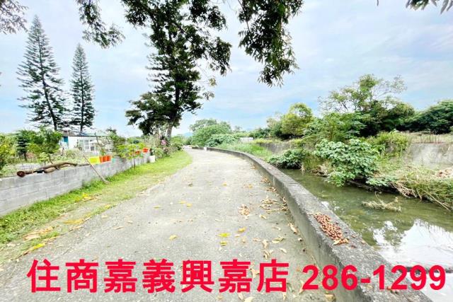 竹崎農地-1