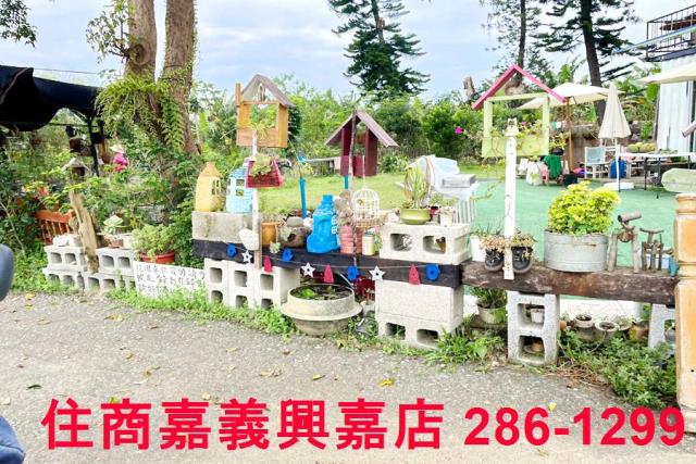 竹崎農地-2