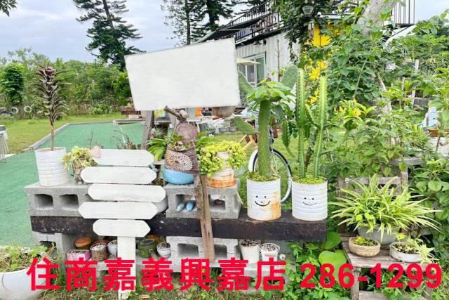 竹崎農地-5