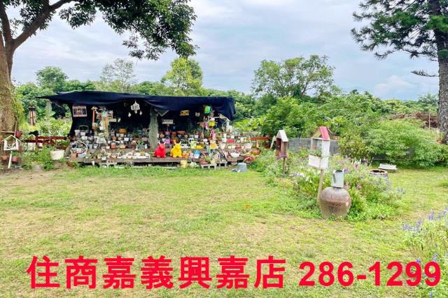 竹崎農地-6