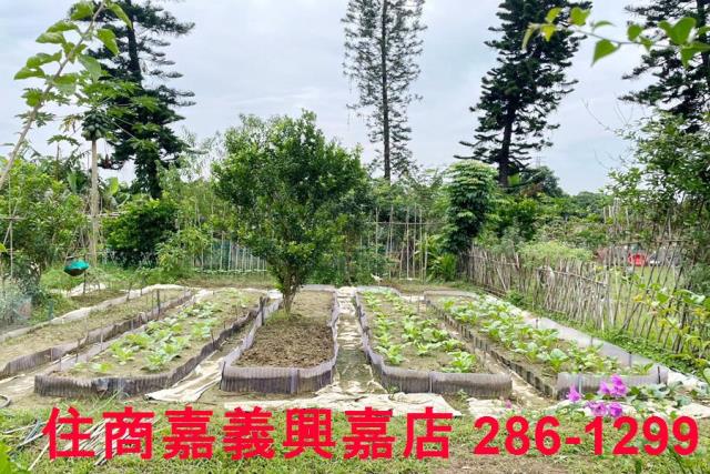 竹崎農地-7