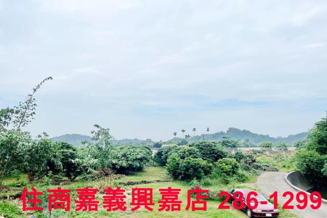 竹崎農地-9