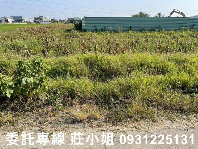 歸仁農地-4