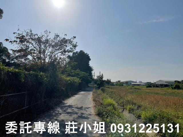 歸仁農地-6