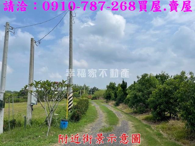 台南大內農地-1