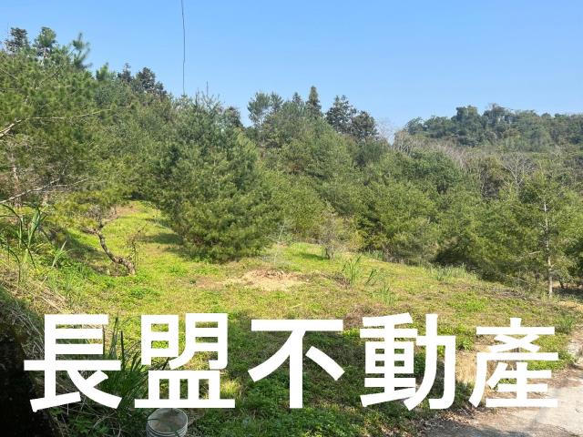 台中新社休閒地-10